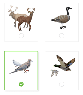 HUNTINGsmart! Practice Quiz options